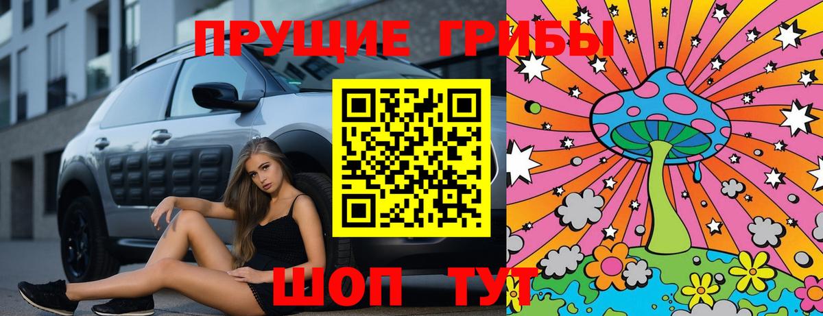 Псилоцибиновые грибы GOLDEN TEACHER Якутск