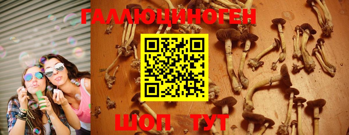 Якутск  Галлюциногенные грибы Psilocybe  Галлюциногенные грибы MAGIC MUSHROOMS  Вход с VPN 
